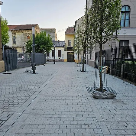 Muzeului * Cluj-Napoca